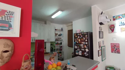 Rotkvarija | 4zida.rs