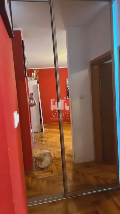 Pilota Mihaila Petrovića | 4zida.rs