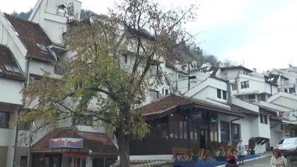 Vladimira Perića Valtera bb | 4zida.rs