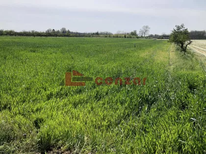 Radanovac | 4zida.rs