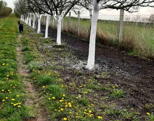 Turistički objekat | 4zida