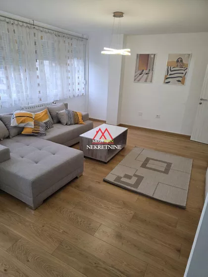 Dr Ivana Ribara | 4zida.rs