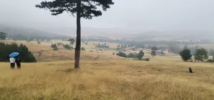 Šainovci | 4zida.rs