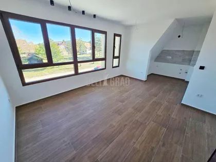 Belog narcisa | 4zida.rs