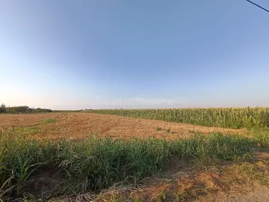 Mandić Đorđa-đokice