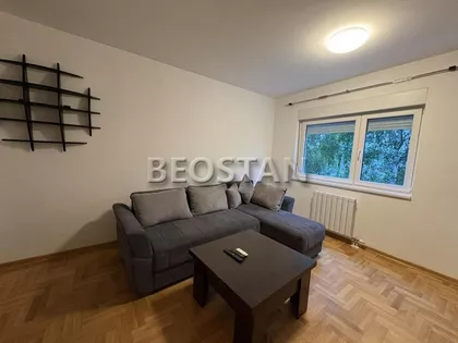 Mileve Maric Ajnstajn | 4zida.rs
