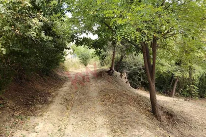Koševac | 4zida.rs