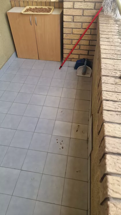 Bulevar Patrijarha Pavla | 4zida.rs