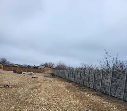 Nadežde Petrović | 4zida.rs