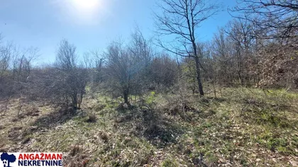 Krivovirska | 4zida.rs