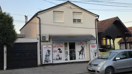 Dr Dragiše Mišovića | 4zida.rs