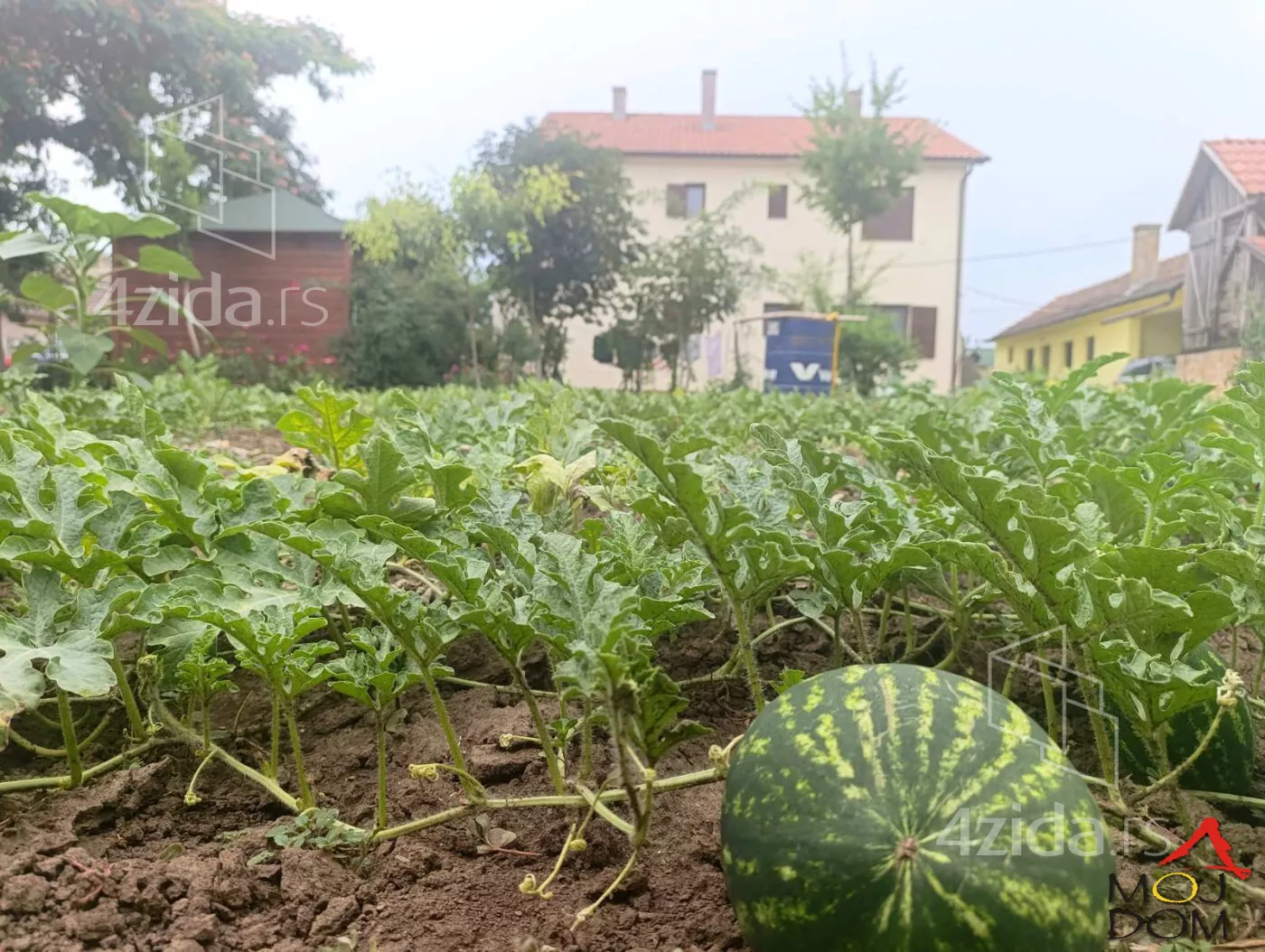 Kuća | 4zida