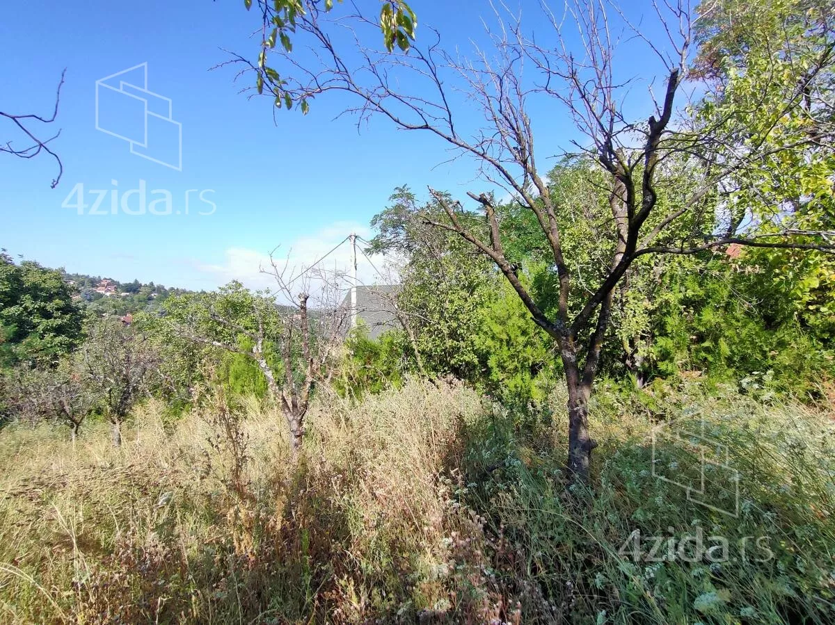 Plac | 4zida