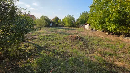 Kralja Petra Prvog | 4zida.rs