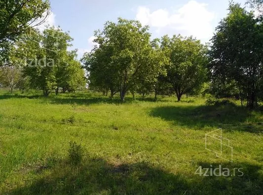 Plac | 4zida