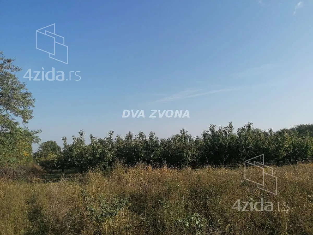 Plac | 4zida
