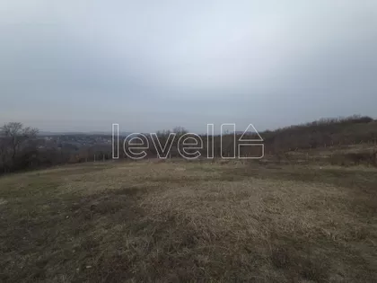 Alibegovac | 4zida.rs