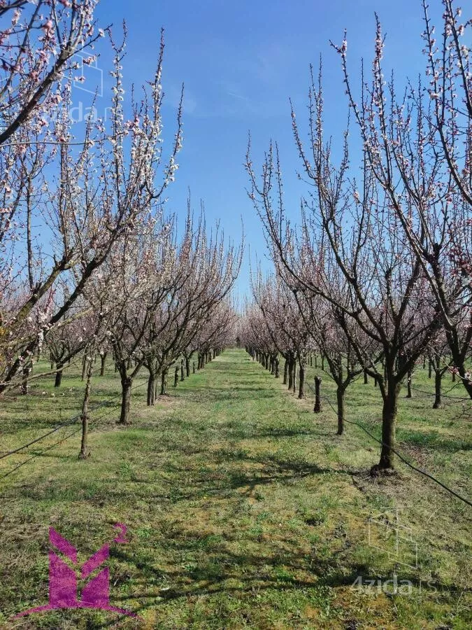 Poljoprivredno zemljište | 4zida