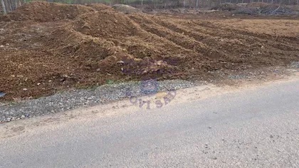 Alibegovac 1 | 4zida.rs