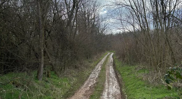 Poljoprivredno zemljište | 4zida