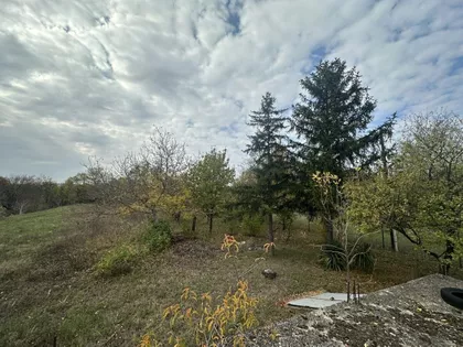 Jabučki Put | 4zida.rs