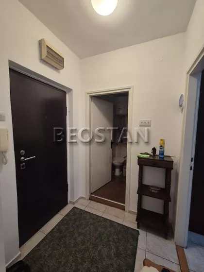 Dzona Kenedija | 4zida.rs