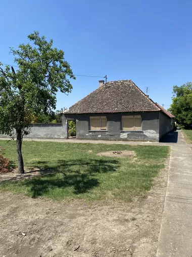 Debeljača