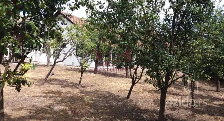 Plac | 4zida
