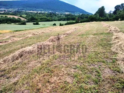 Rogača | 4zida.rs