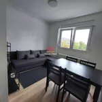 Novi Sad, Gradske lokacije, Rotkvarija | 4zida.rs | 4zida.rs