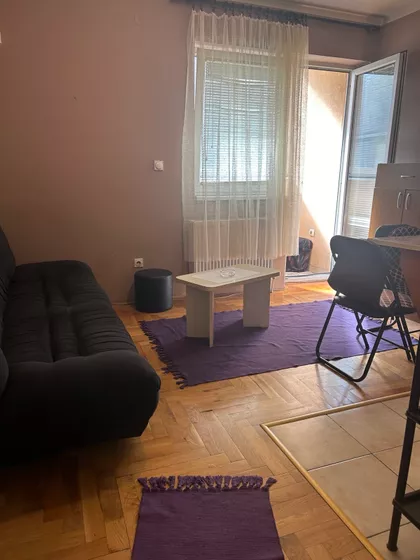 Dr Svetislava Kasapinovića | 4zida.rs