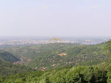 Ledinci