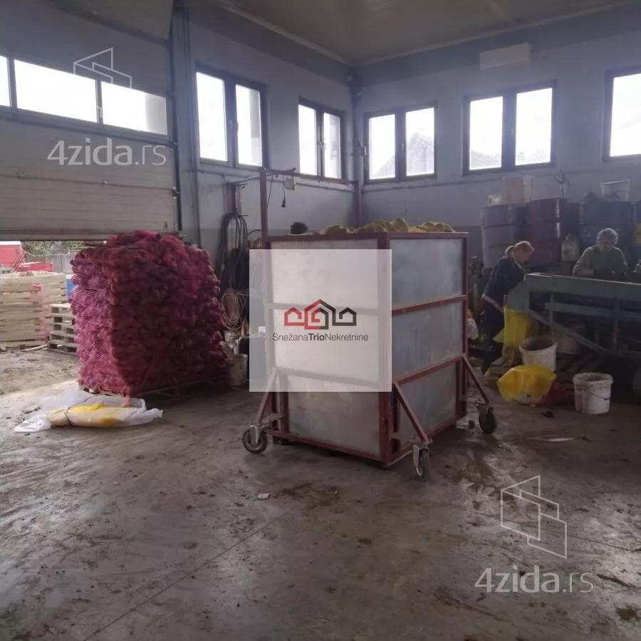 Hala | 4zida