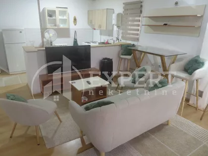 Momčila Mitića | 4zida.rs