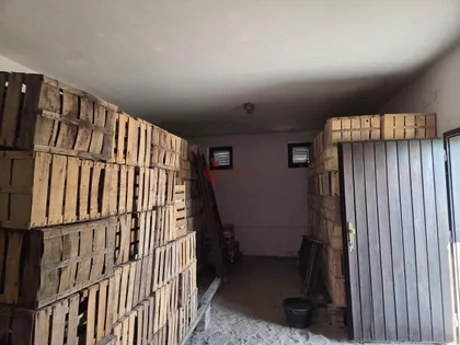 Bački Vinogradi | 4zida.rs