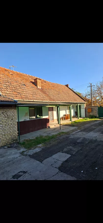 Doža Đerđa 101 | 4zida.rs