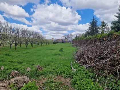 Stara Pazova | 4zida.rs