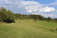 Plac | 4zida