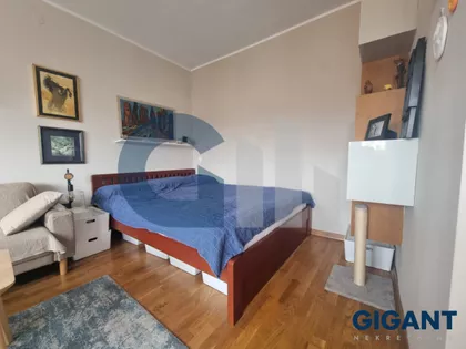 Kneginje Zorke | 4zida.rs