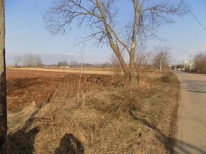 Dankovo | 4zida.rs