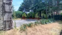 Plac | 4zida