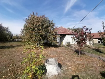 Mišićevo | 4zida.rs