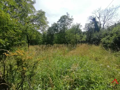 Sremska Kamenica | 4zida.rs