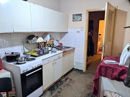 Save Maleševića | 4zida.rs