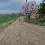 Plac | 4zida
