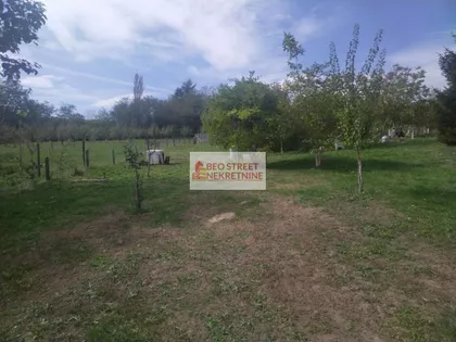 Senaja | 4zida.rs
