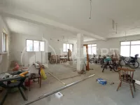 Lokal | 4zida