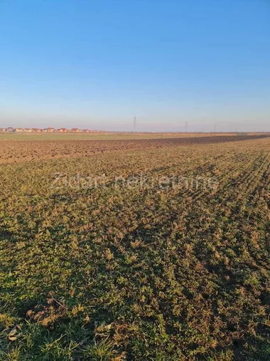 Batajnica