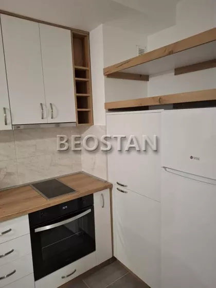 Mileve Maric Ajnstajn | 4zida.rs