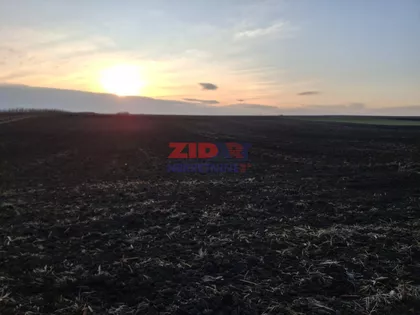 Surduk | 4zida.rs